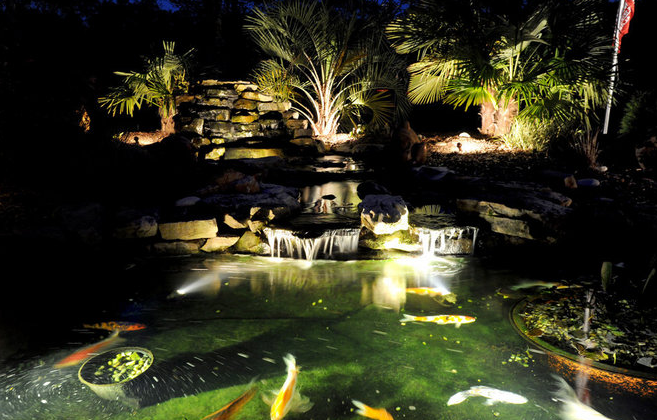 koi-pond-lighting