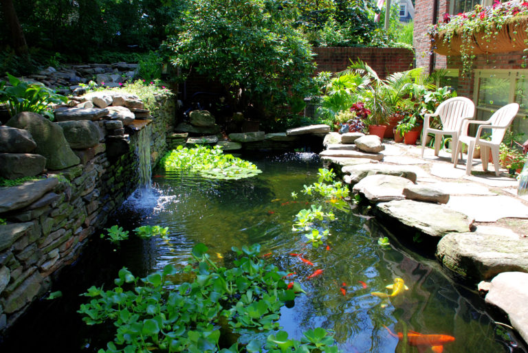 Koi Pond Waterfalls & Landscaping Singapore Idea For You